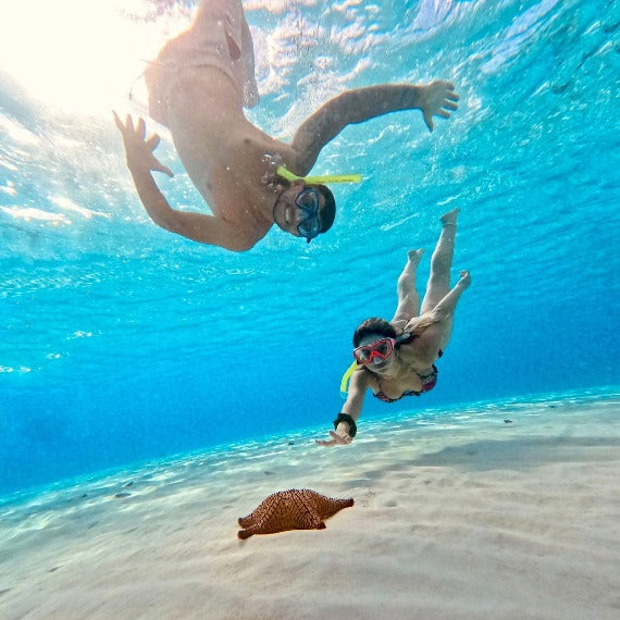 EL CIELO COZUMEL